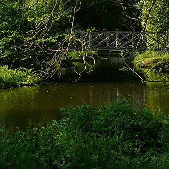 Headerbild 2 - Blick auf Brücke im Grünen