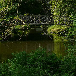 Headerbild 2 - Blick auf Brücke im Grünen